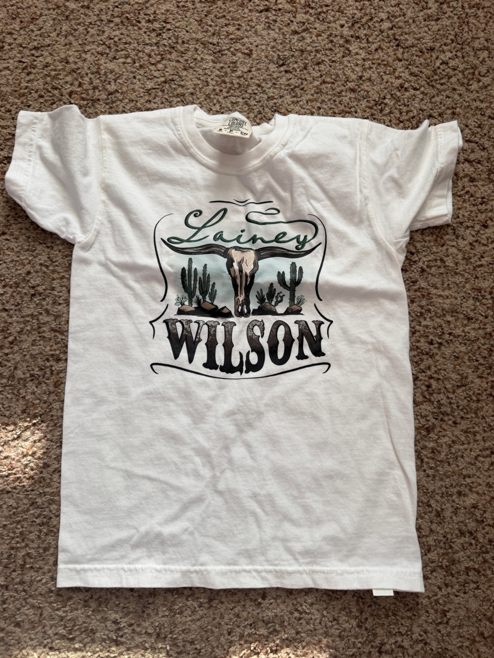 Comfort Colors White Tee with Desert Graphic (Green, Black, Brown)